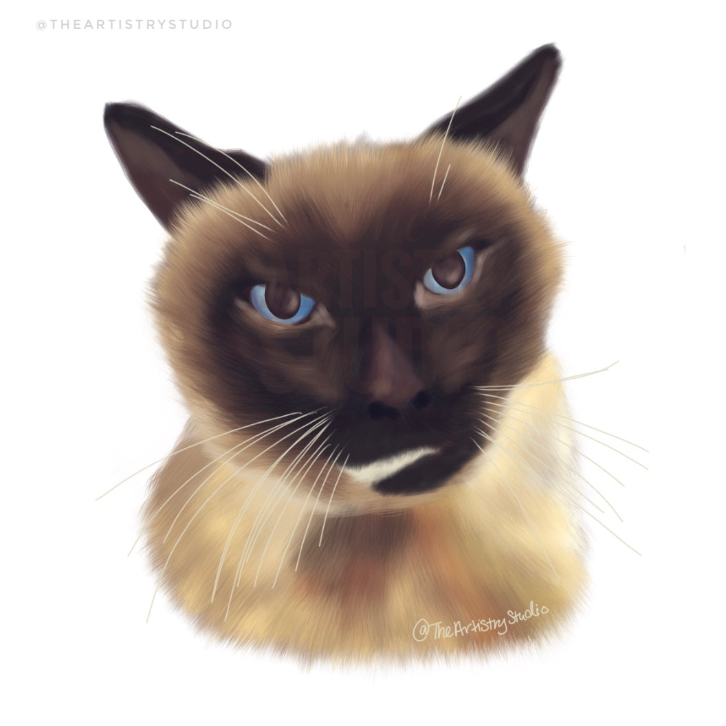 Custom Digital Pet Portraits | Digital